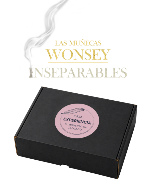 Las muñecas Wonsey (Ed. Limitada) + Caja Experiencia